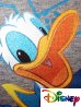 Donald kacsás baba együttes